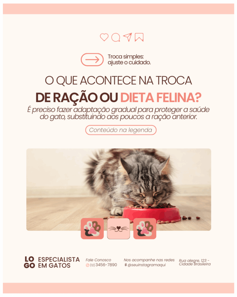 Imagem pertence a @creativepacksarts