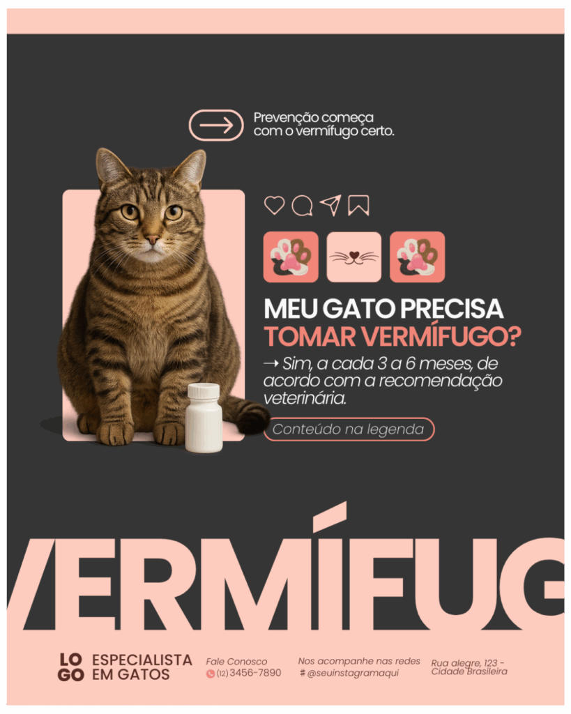 Imagem pertence a @creativepacksarts (2)