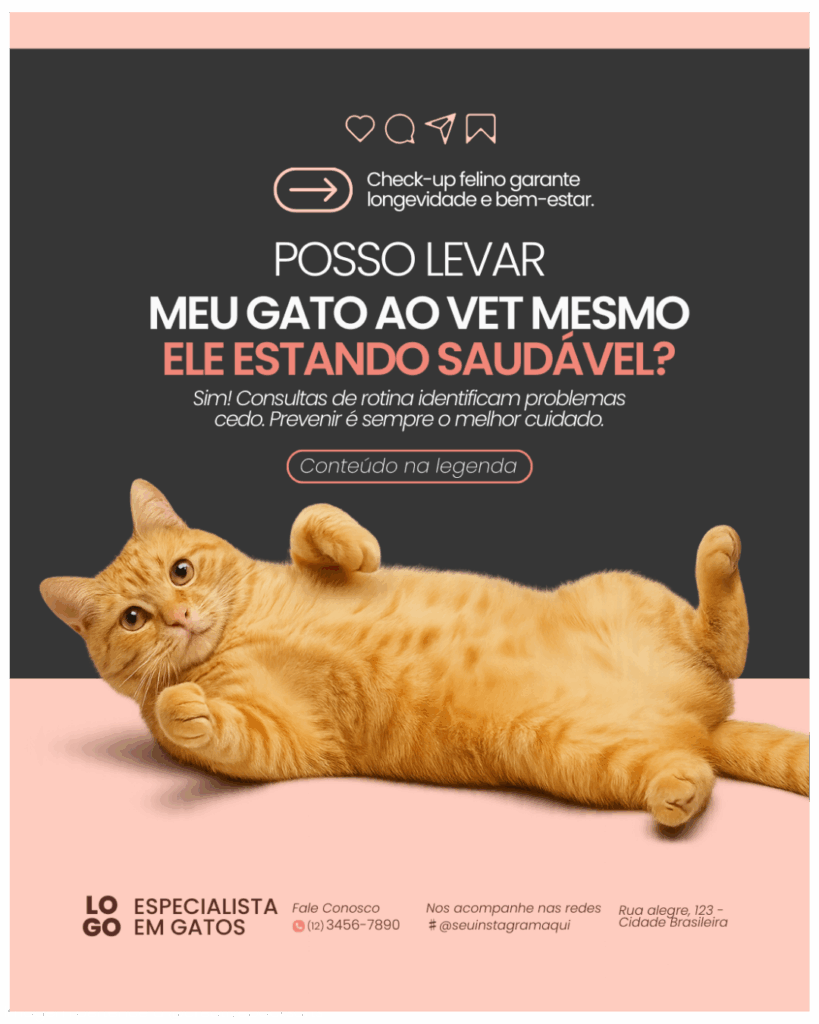 Imagem pertence a @creativepacksarts (3)