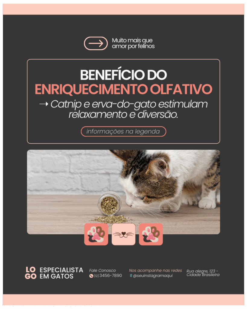 Imagem pertence a @creativepacksarts (5)