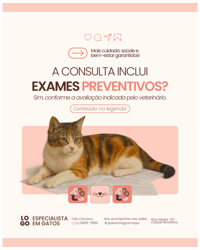 Imagem pertence a @creativepacksarts (8)